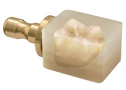 Advanced Porcelain Materials
